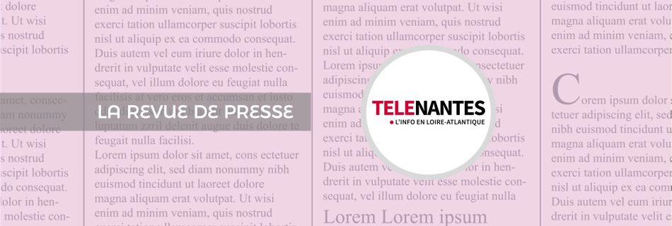 En-tête revue de presse Ose Ton Futur / TéléNantes